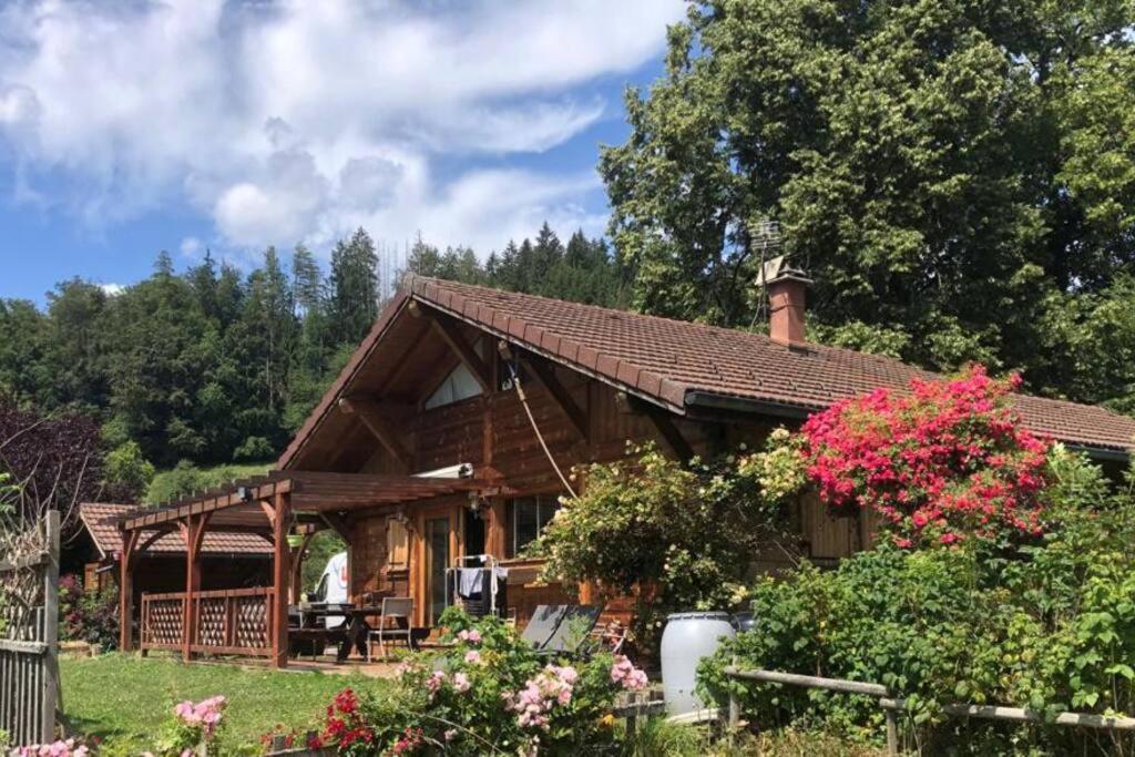 Chalet Cosy Avec Terrasse Plein Sud, 2 Chambres, Au Coeur De La Haute-savoie *