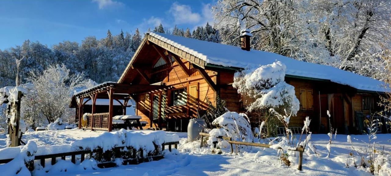 Cosy Avec Terrasse Plein Sud, 2 Chambres, Au Coeur De La Haute-savoie *